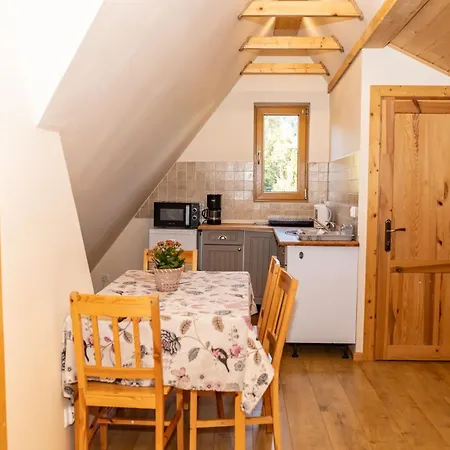 Apartment I Goscinne Wajdowka *